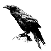 Avatar for Scheftheimer