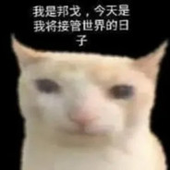 mrbullmarket 的头像