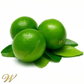 limonka89 için avatar