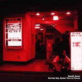 Suzuki Junzo / Buried Sky, Spider Torn to Pieces (plunk's plan/CD/jpn/2010)