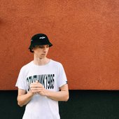 Junky Palms