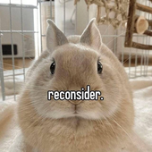 Discordant__ 的头像