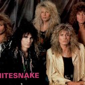 Whitesnake