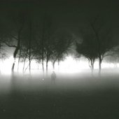 forestfuck