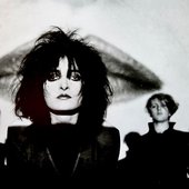 Siouxsie and the Banshees