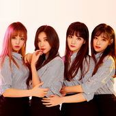 플래쉬