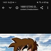 Screenshot_20240823_140128_Chrome.jpg