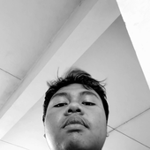 pandarlx 的头像