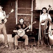 The Avett Brothers