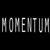 Momentum