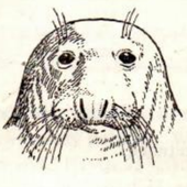 Avatar for TerrorDoggo