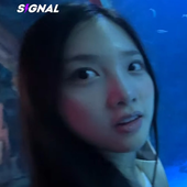 VincyDaniel 的头像