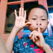 babybolu 的头像
