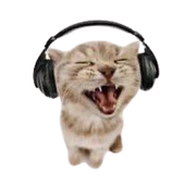 mocamaconha 的头像