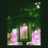 IMG_3372.jpeg