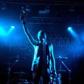 live wellu and circus u
