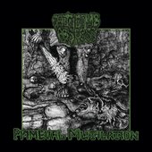 Primeval Mutilation [Explicit]