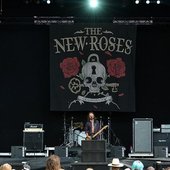 The New Roses_4.JPG