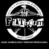 Mass manipulation through propaganda