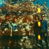 thehorrors