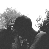 Avatar for Betulas