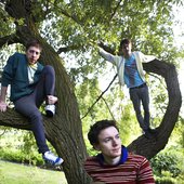 in a tree