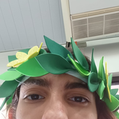 Yanmero 的头像