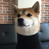 makkenzix 的头像