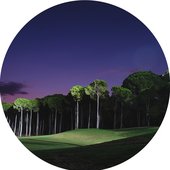 dbt