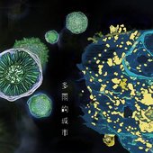 多雨的城市 (2020)