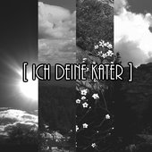 Ich Deine Kater