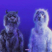 frosty.gif