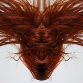 A Collection Of Hair
