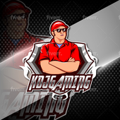 Avatar for KDJGAMING