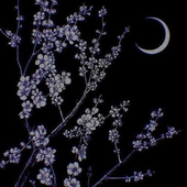 Avatar for ALMOND11111