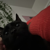 hehhather 的头像