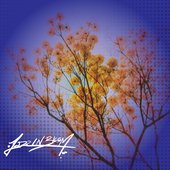 Jazz in Bloom