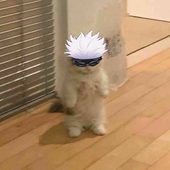 kurozennn 的头像
