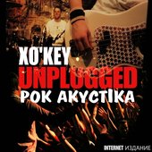 Unplugged (Рок акустика)