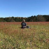 mixed matches in pretty field