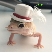 Avatar for Topkek_
