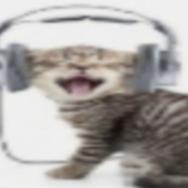 Avatar for Akenszi