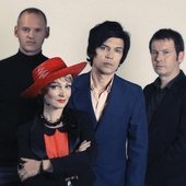 The Primitives