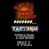 Tears Fall: Well Trained Monkey Remixes Tantrum