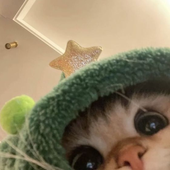 bee_888 的头像