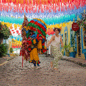 IMG_0040.gif