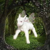 Avatar für FairyGoat15