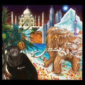vinyl cover