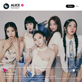 ALICE Show Down Concept Photos