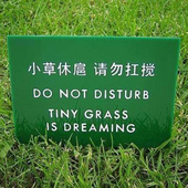 sensitiva84 的头像